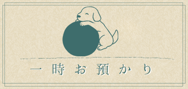button_dogrun